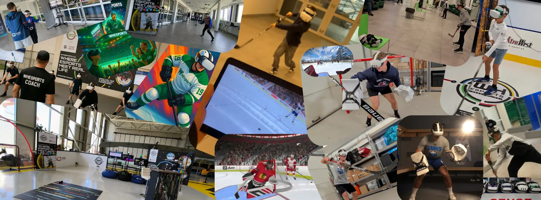 Sense Arena Home Training